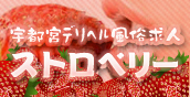宇都宮デリヘル　「ストロベリー」